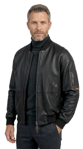 WLT951 - 2 Roman.webp